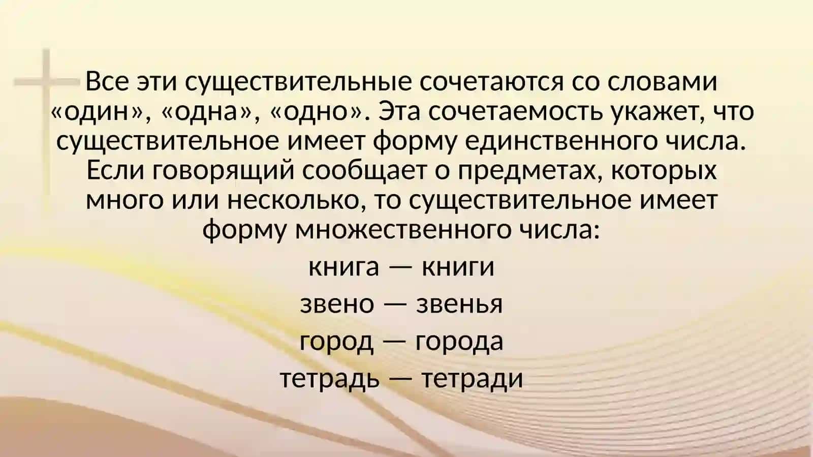 Единственное и множественное число имен существительных 4