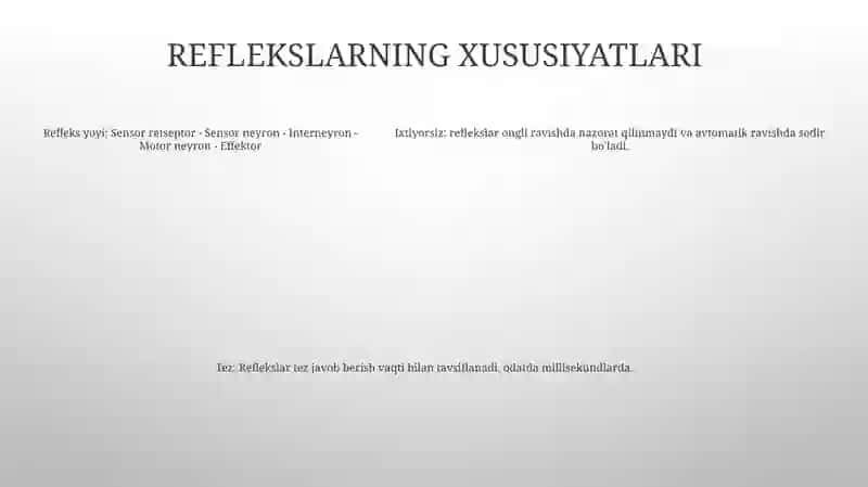 Reflekslar 4