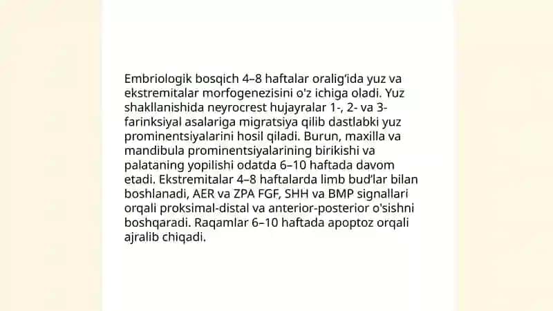 Plastik anatomiya rivojlanishining asosiy bosqichlari 4