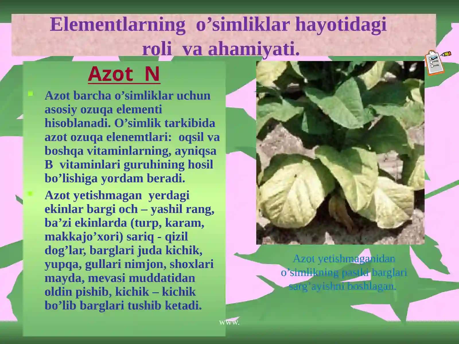 Mineral o’g’itlar 4