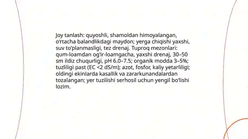Kurtak payvantaglarni yetishtirish 4