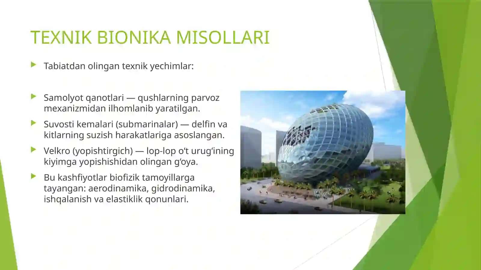 Bionika asoslari va uni inson hayotidagi o‘rni 4