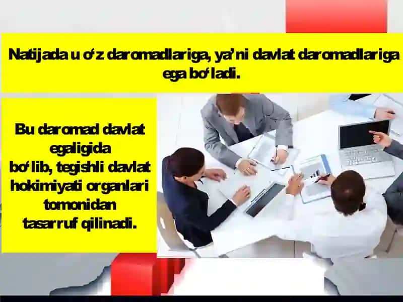 Davlat daromadlarini huquqiytartibga solish 4