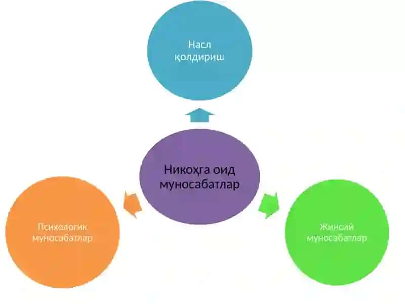 Оиланинг ижтимоий психологик муаммолари 4