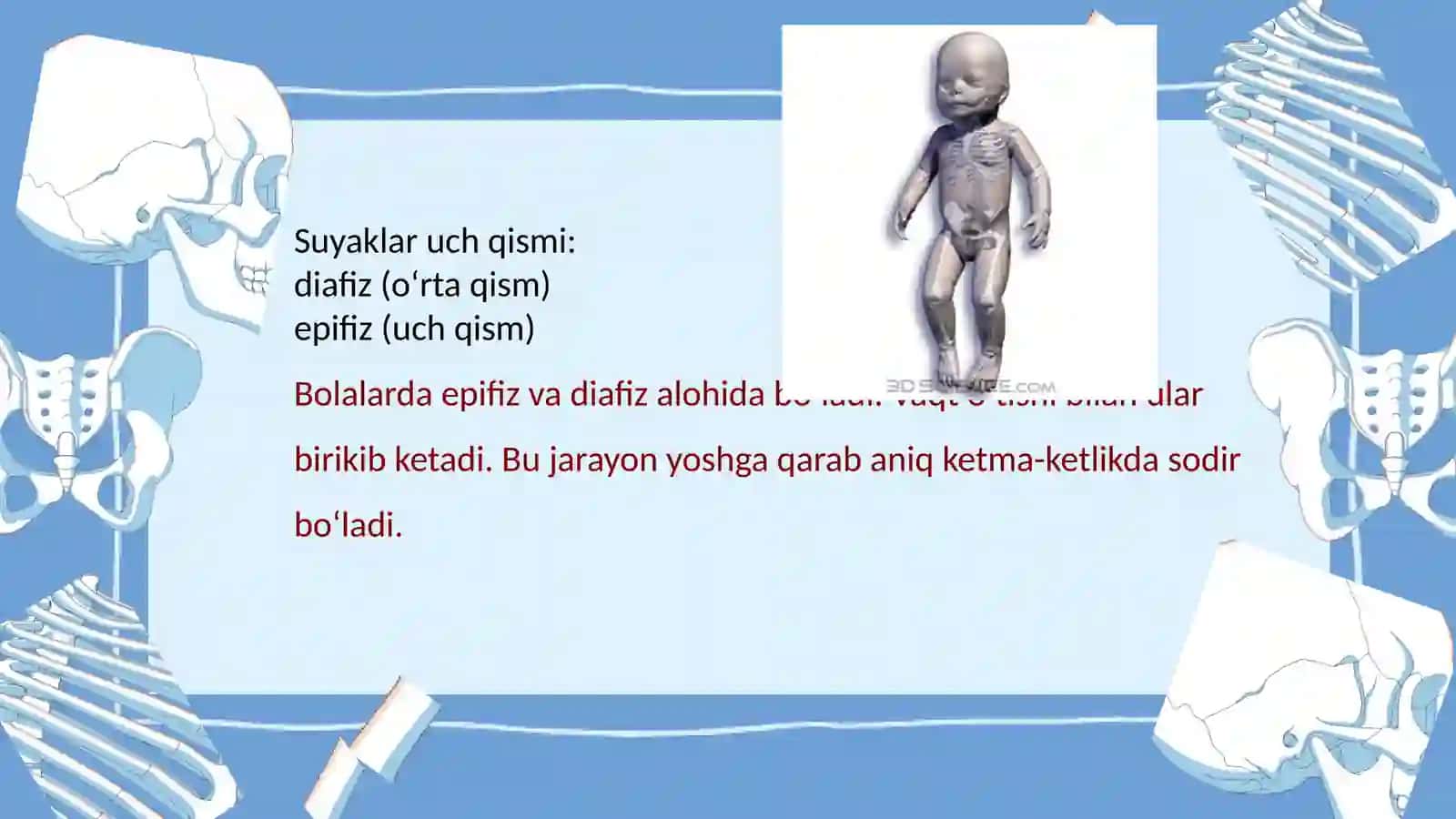 Suyaklarga qarab bola yoshini baholash 4
