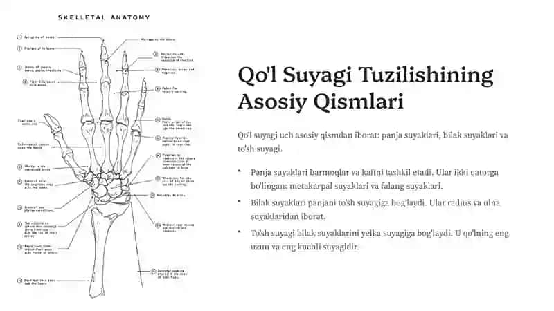 Qo'lsuyagi 4