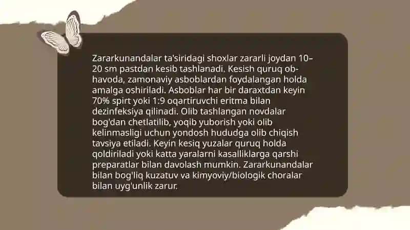 Bog'larda sanitar kesish usullari va uning o'tkazish texnologiyasi 4