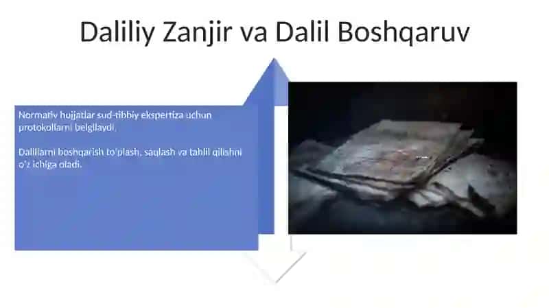 Sud-tibbiy ekspertiza faoliyatini belgilovchi me'yoriy hujjatlar 4
