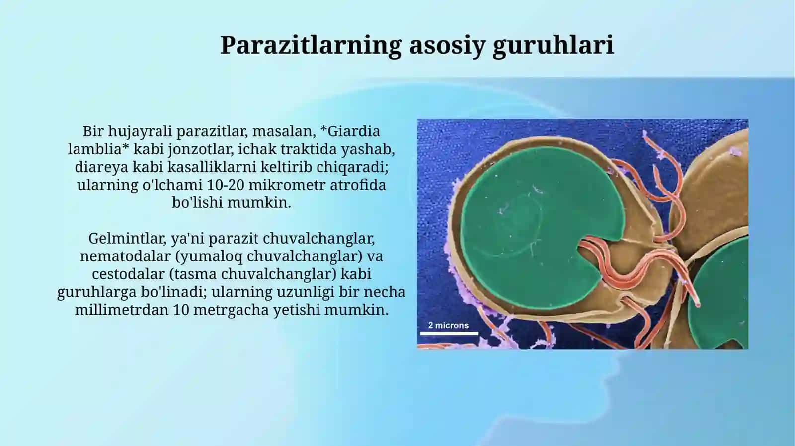 Parazitlar klassifikatsiyasi, parazitizmning kelib chiqishi 4