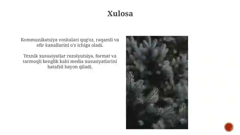 Axborot o'tkazish muhiti va ularning texnik ko'rsatgichlari 4