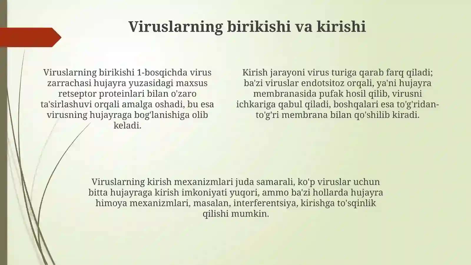 Viruslarda replikatsiya mexanizmi 4