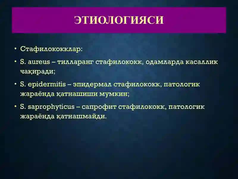 ТЕРИНИНГ ЙИРИНГЛИ КАСАЛЛИКЛАРИ-ПИОДЕРМИТЛАР 4