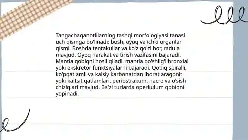 Tangachaqanotlilar turkumi,vakillari va ahamiyati 4