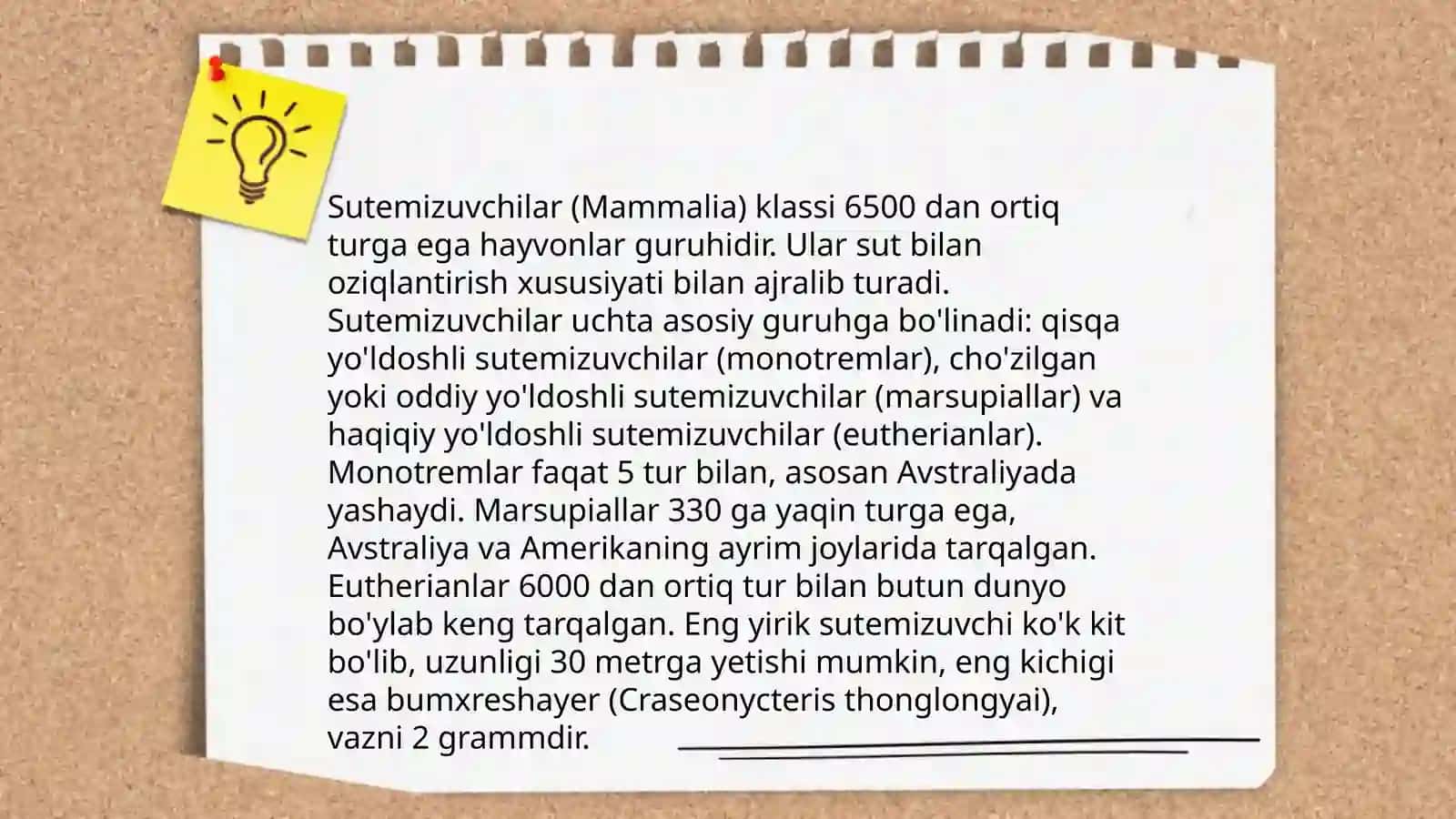Biozararlovchi sutemizuvchilar asosiy sistematik guruhlari va vakillari 4