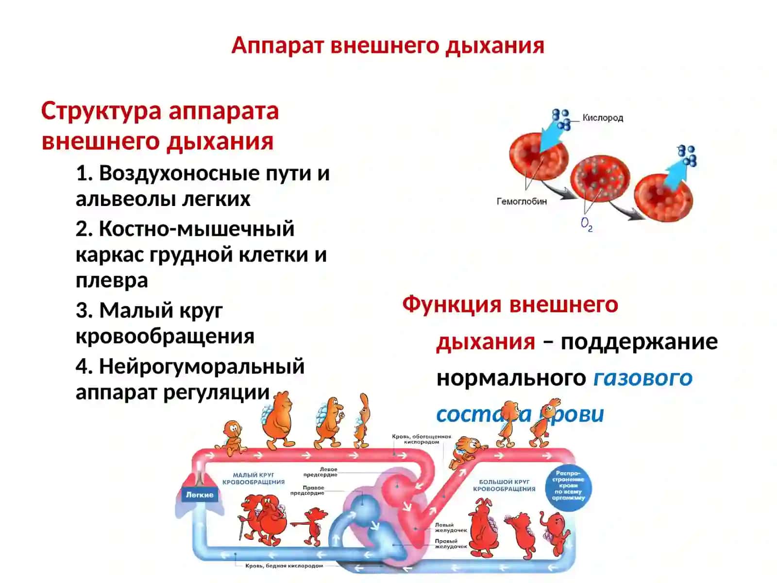 Патофизиология дыхания 4