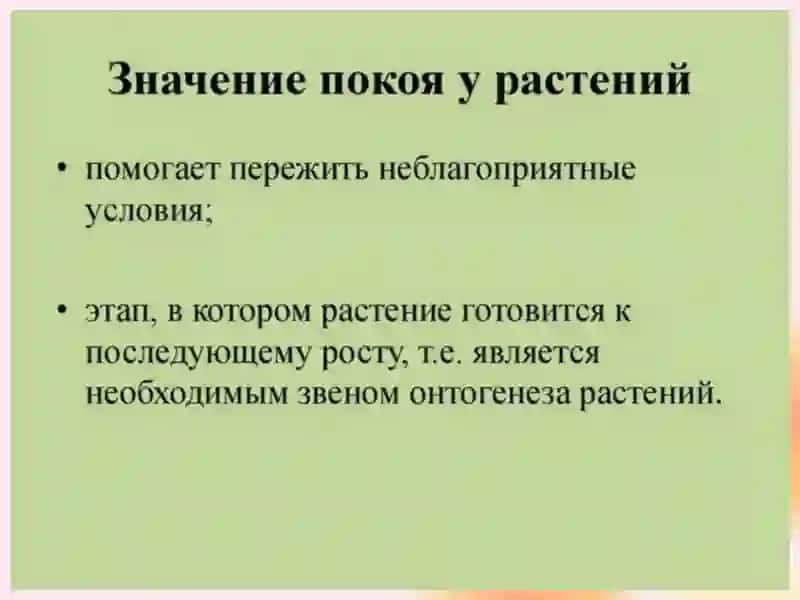 ФИЗИОЛОГИЧЕСКИЕ ОСНОВЫ ПОКОЙ РАСТЕНИЙ 4