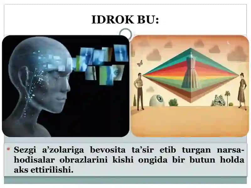 idrok haqida tushuncha 4