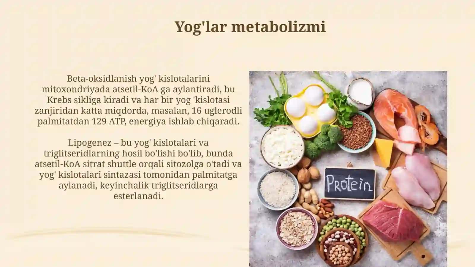 Moddalar almashinuvi uglevod yog vaoqsilmetabalizimi 4
