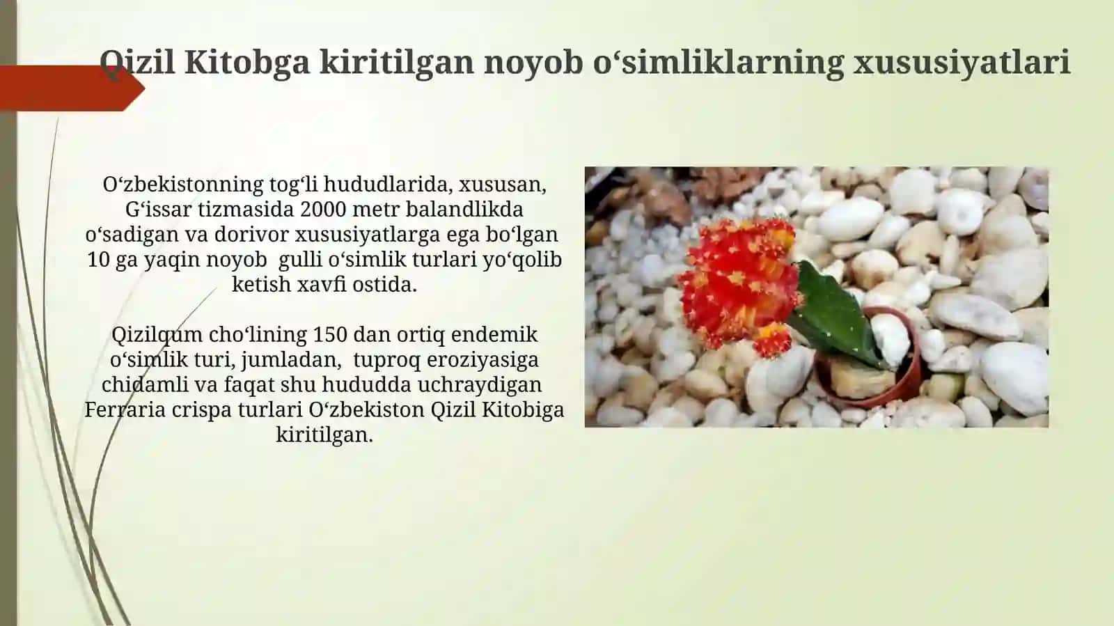 Oʻzbekiston Respublikasi Qizil Kitobiga kiritilgan o'simliklar 4