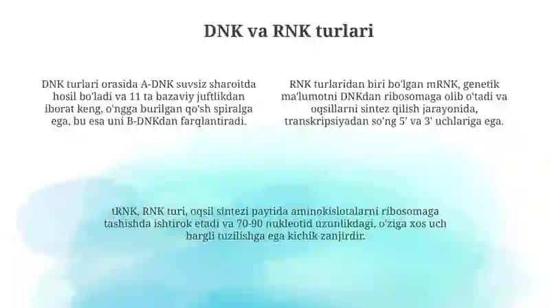 Nuklein kislotalar va ularning fazoviy birlamchi tuzilishi. Dnk va Rnk turlari 4