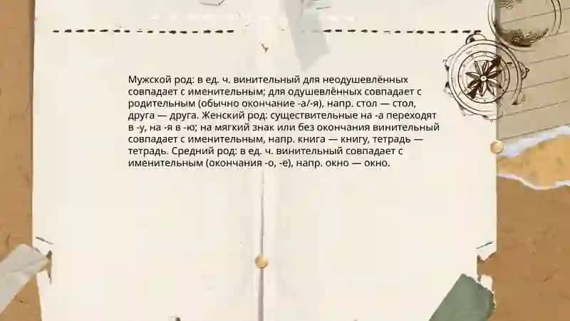 Винительный падеж имён существительных 4