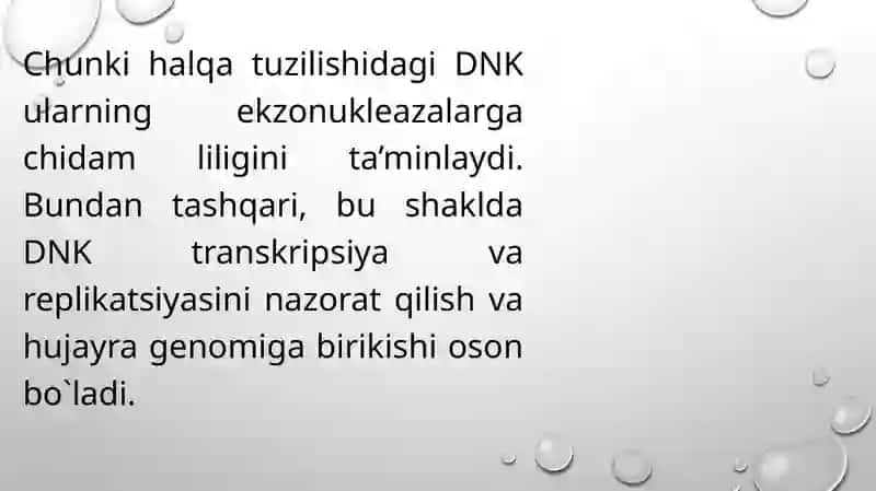 Virus DNK si va RNK si sintezi lokalizatsiyasi 4