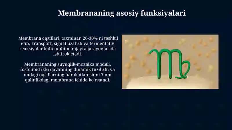 Biologik Membranalar Modellari 4