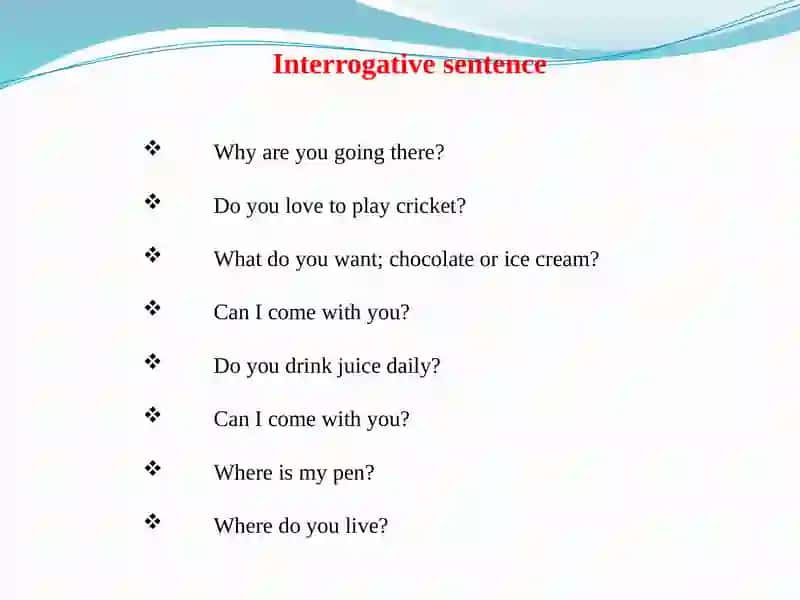 Four types of sentences 4