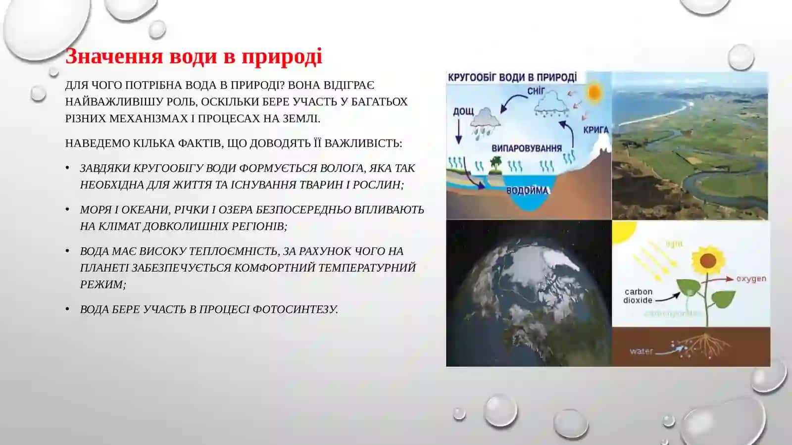 Значение воды для жизни на Земле 4