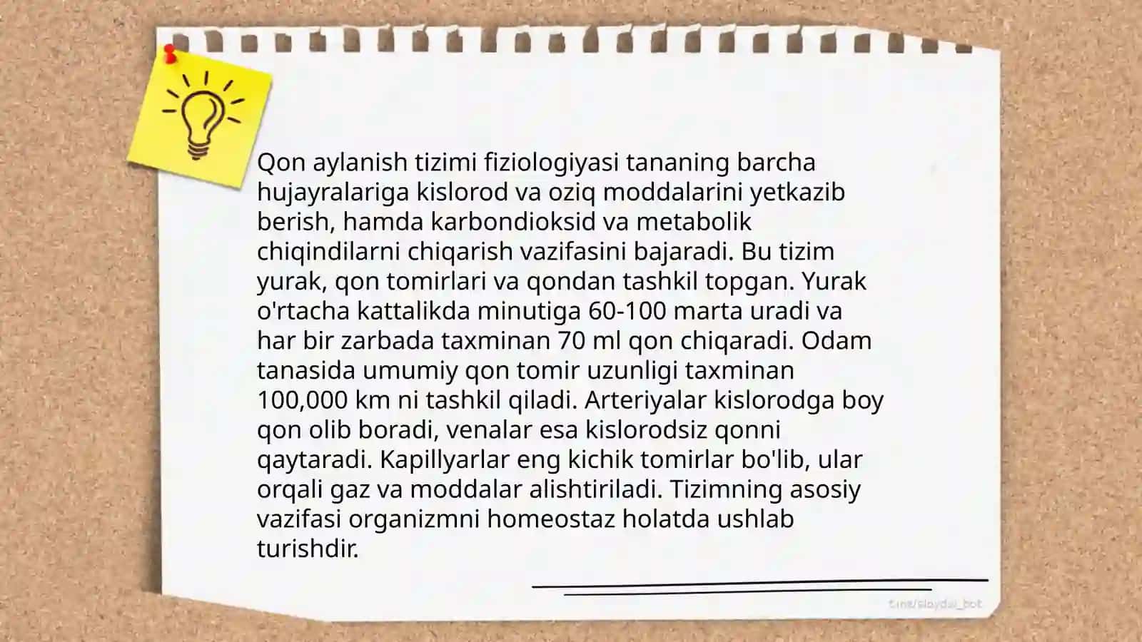 Yurak mushaklarining anatomiyasi 4