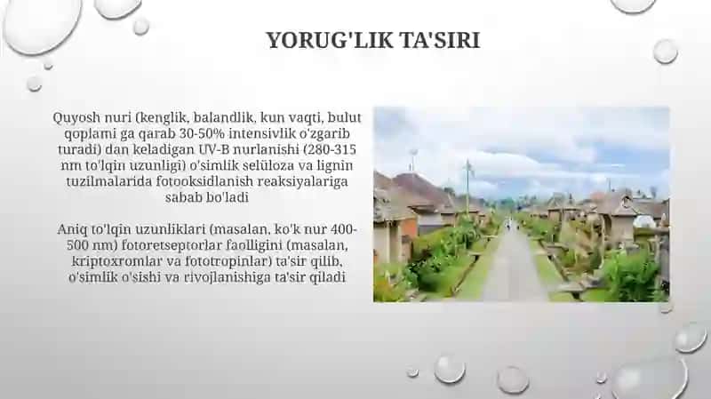 Sariqlashishning Biokimyoviy Yo'llari 4