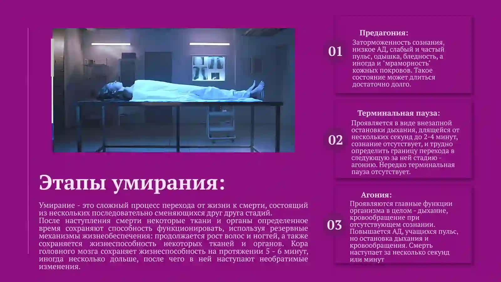 Презентация на тему: Понятия смерти. Типы смерти, клинические и морфологические признаки. 4