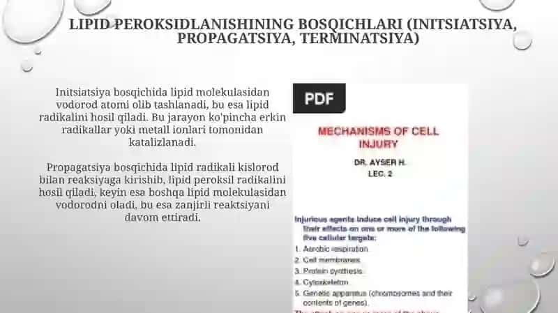 Lipidlarni peroksidlanishi va hujayra shikastlanishi patogenezidagi ahamiyati 4
