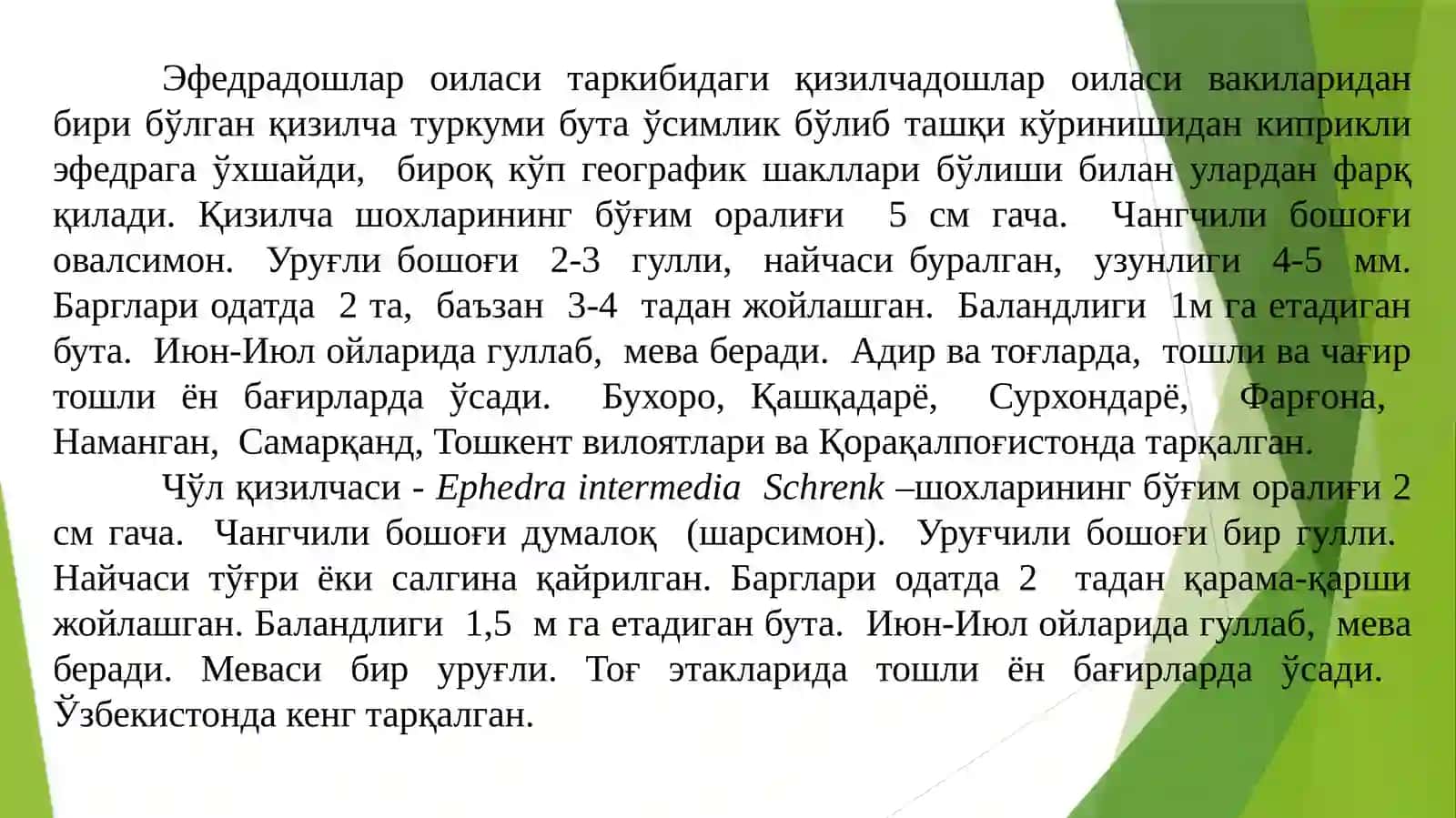 Эфедрадошлар (Ephedraceae) оиласи 4