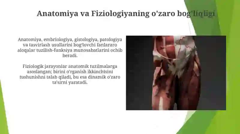 Anatomiya fanning rivojlanish tarixi va boshqa fanlar aloqasi 4