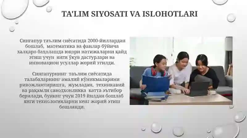 Singapur taʼlim tizimi 4