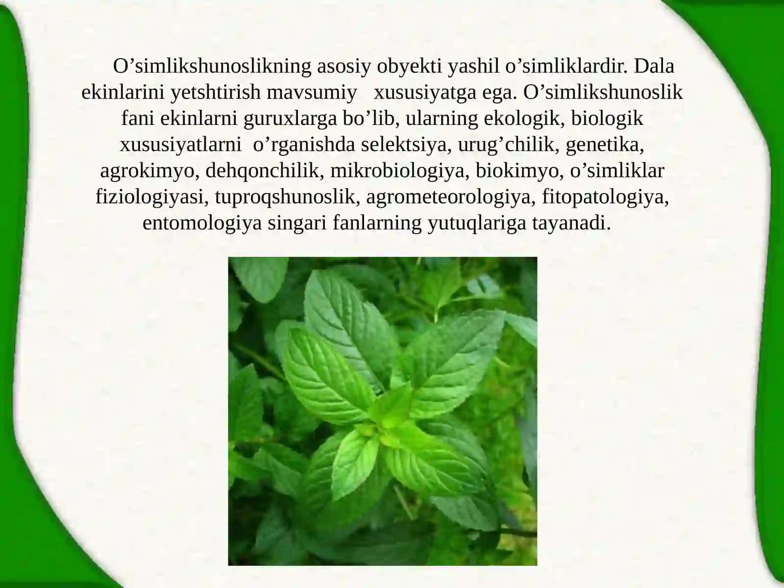 O’simlikshunoslikning tabiiy biologik asoslari 4