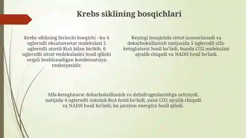 Krebs sikli.Uglevodlarning fosfat yog’li bilan oksidlanishi 4