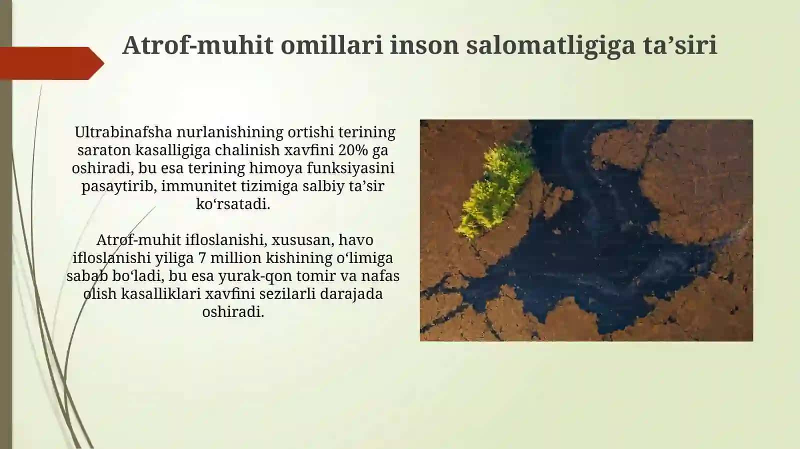 Atrof muhit va odamorganizmningbogʻliqligi 4