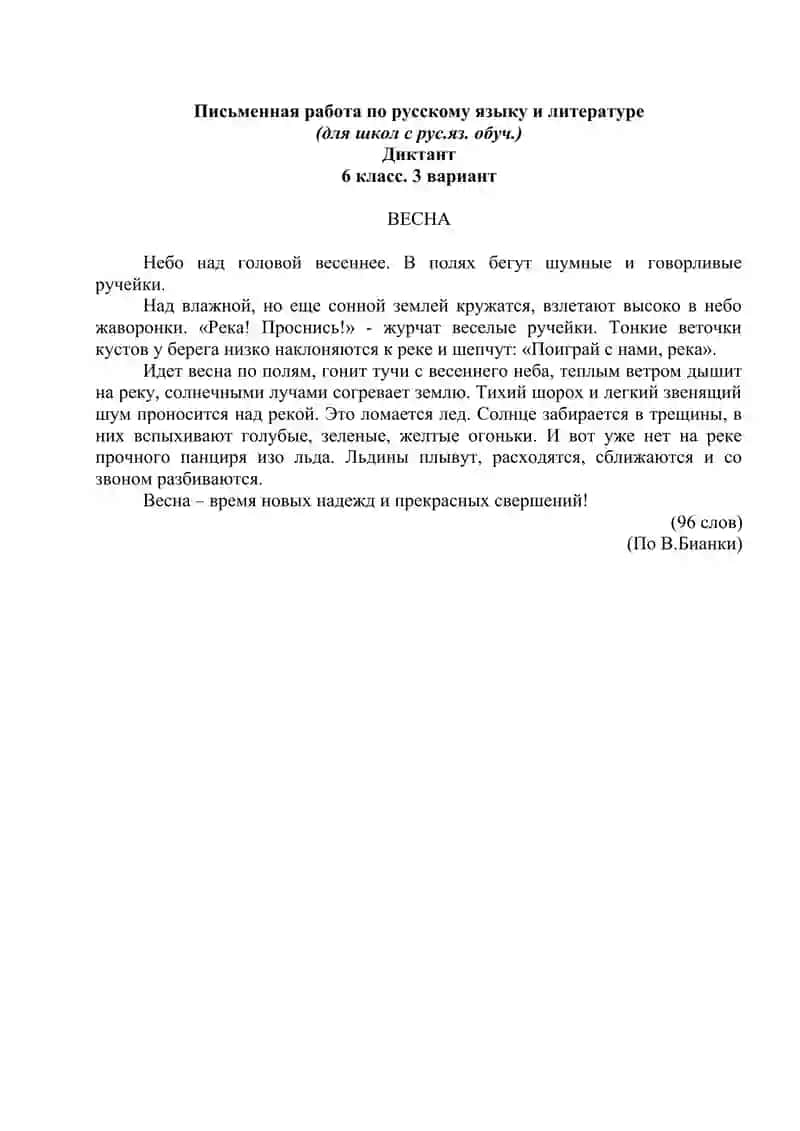 Письменная работа по русскому языку и литературе 4