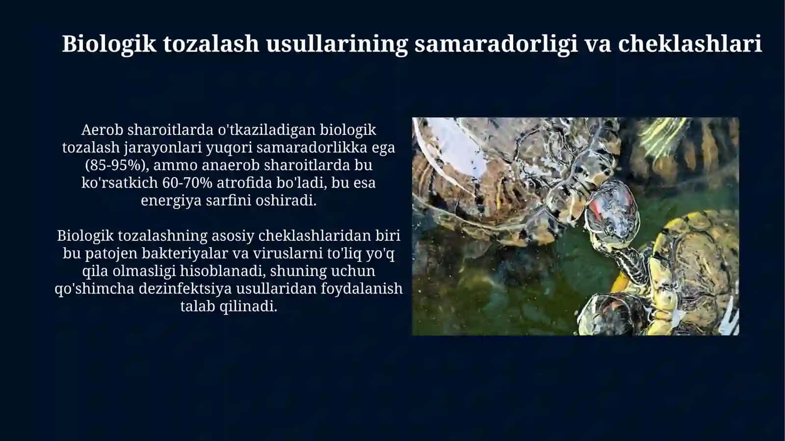 Suv ekosistemalarining fizik, kimyoviy va biologik tozalanishi 4