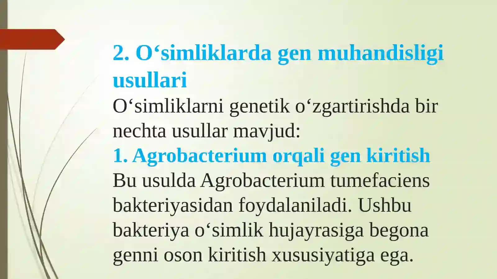 Biotexnologiyada gen muhandisligi usullari yordamida o‘simliklarning sifat ko‘rsatkichlarini yaxshilash va hosildorligini oshirish 4