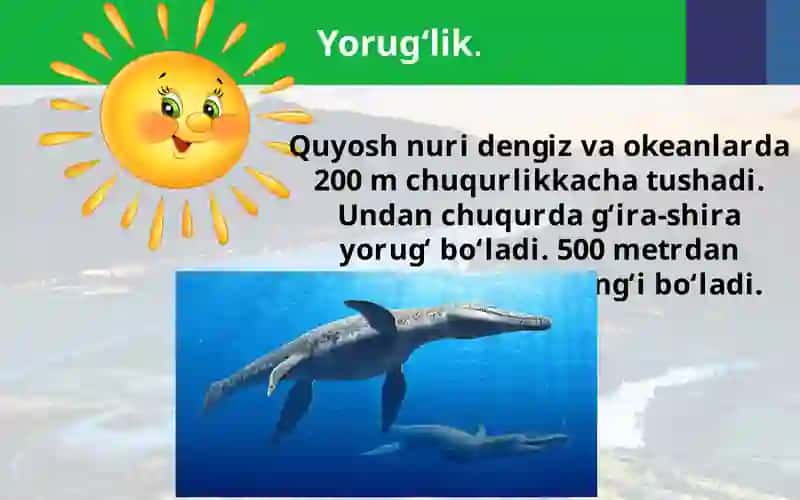 Okean qa’rigasayohat 4