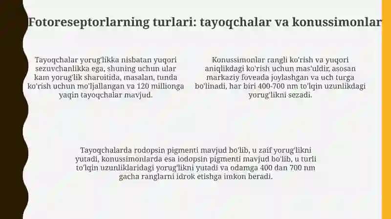 Fotoretsepsiyaningmorfologikasoslari 4