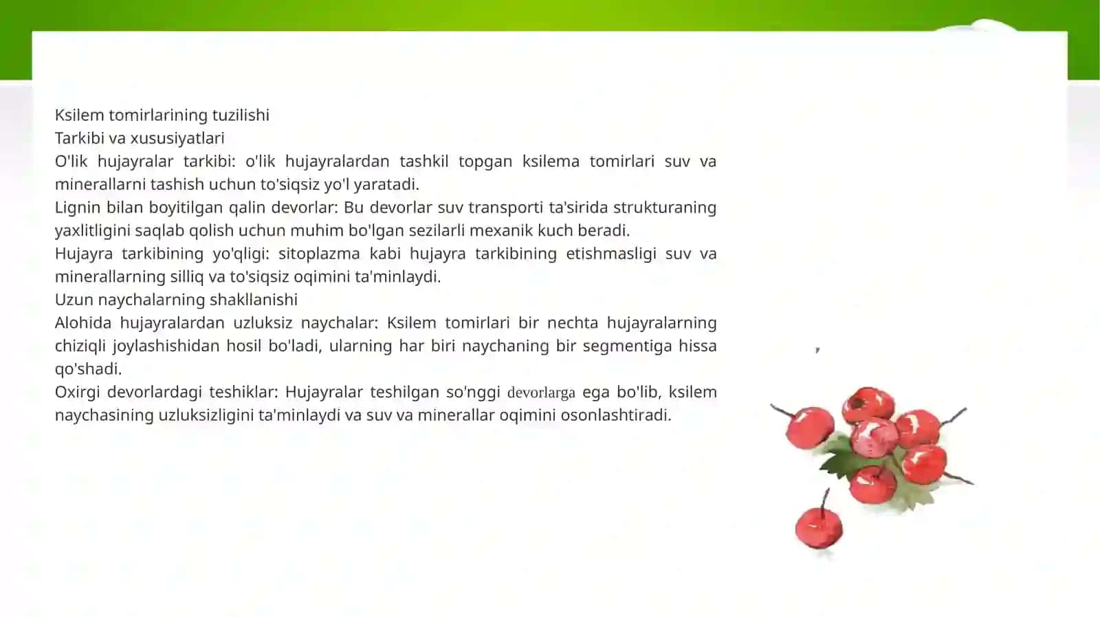 O’simliklarda suv harakatiningpastgimexanizmi 4