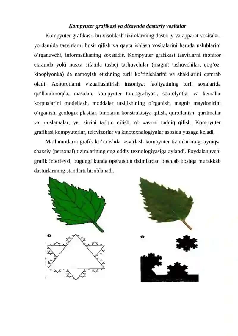Kompyuter grafikasi va dizaynda dasturiy ta’minot 4