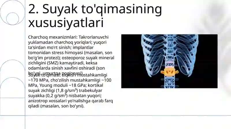 Harakatlanish apparatining biomexanik xossalari 4