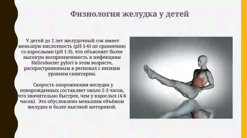 Анатомо-физиологические особенности желудка и кишечника у детей 4