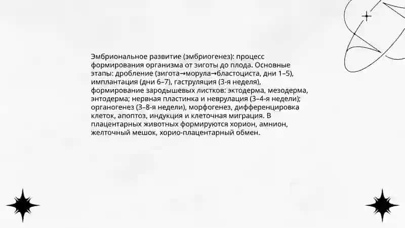 Онтогенез 4