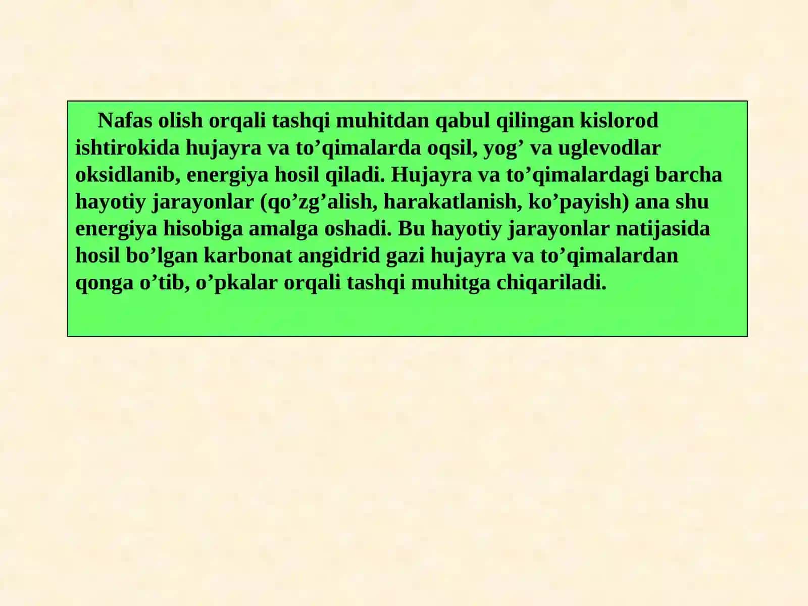 BURUN BO'SHLIG'INING TUZILISHI, FUNKSIYASI, KASALLIKLARI 4